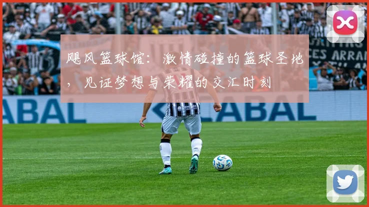 飓风篮球馆：激情碰撞的篮球圣地，见证梦想与荣耀的交汇时刻