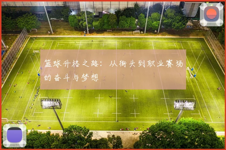 篮球升格之路:从街头到职业赛场的奋斗与梦想